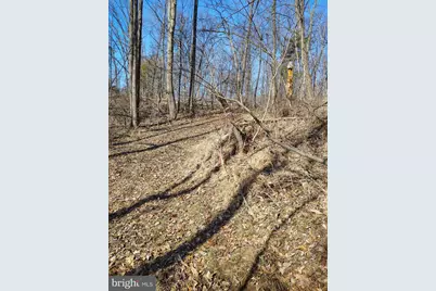 Lot 2 Kistler Rd, Elliottsburg, PA 17024 - Photo 5