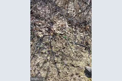 Lot 2 Kistler Rd, Elliottsburg, PA 17024 - Photo 9