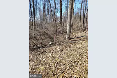 Lot 2 Kistler Rd, Elliottsburg, PA 17024 - Photo 13