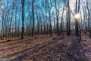 9 Irish Rd, New Bloomfield, PA 17068 - Photo 43