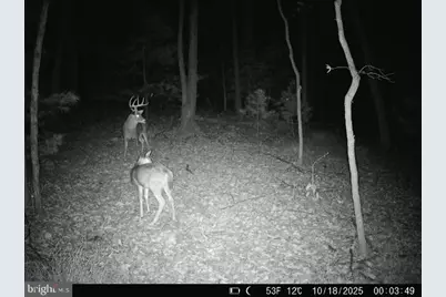 9 Irish Road, New Bloomfield, PA 17068 - Photo 47