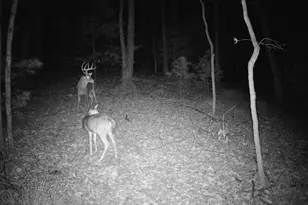 9 Irish Rd, New Bloomfield, PA 17068 - Photo 47