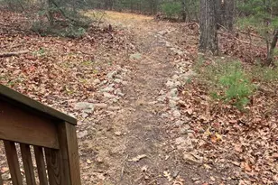 252 Concord Dr, Ickesburg, PA 17037 - Photo 29