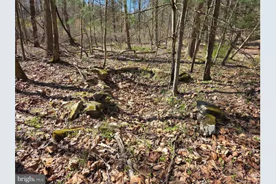 00 Cold Storage Road, New Bloomfield, PA 17068 - Photo 13