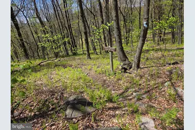 00 McCabe Road, Landisburg, PA 17040 - Photo 5