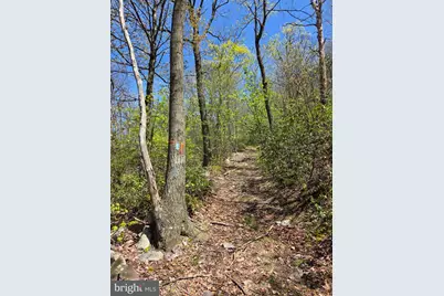 00 McCabe Road, Landisburg, PA 17040 - Photo 7