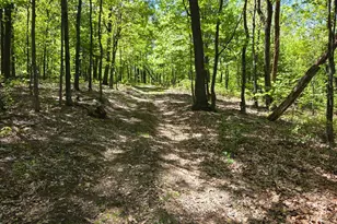 00 McCabe Rd, Landisburg, PA 17040 - Photo 1