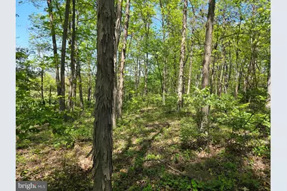 1010 Adams Grove Road, Blain, PA 17006 - Photo 81