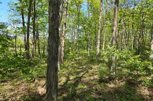 1010 Adams Grove Rd, Blain, PA 17006 - Photo 81