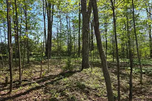 1010 Adams Grove Rd, Blain, PA 17006 - Photo 83