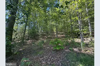 62 Faddis Lane, Millerstown, PA 17062 - Photo 45