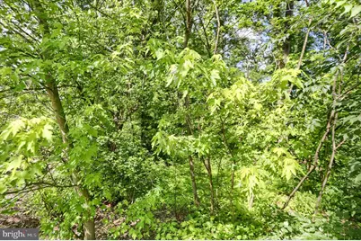 Susquehanna Trail, Liverpool, PA 17045 - Photo 9