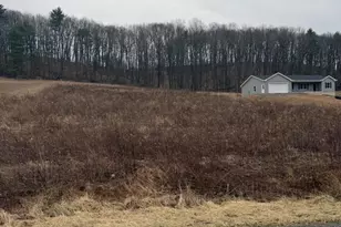 Lot 15 Kline Hollow Rd, Liverpool, PA 17045 - Photo 1