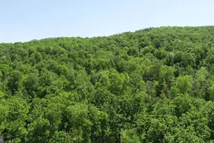 4909 Raccoon Valley Rd Rd, Millerstown, PA 17062 - Photo 79