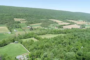 4909 Raccoon Valley Rd Rd, Millerstown, PA 17062 - Photo 49