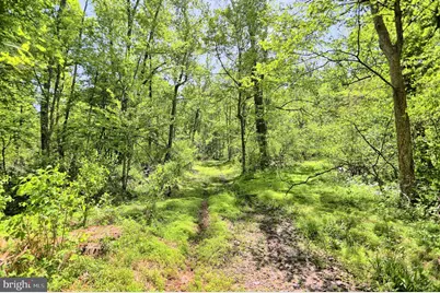 4909 Raccoon Valley Rd Road, Millerstown, PA 17062 - Photo 55