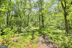 4909 Raccoon Valley Rd Rd, Millerstown, PA 17062 - Photo 55
