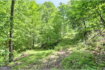 4909 Raccoon Valley Rd Road, Millerstown, PA 17062 - Photo 69