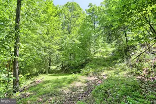 4909 Raccoon Valley Rd Rd, Millerstown, PA 17062 - Photo 69