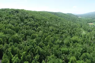 4909 Raccoon Valley Rd Rd, Millerstown, PA 17062 - Photo 87