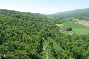 4909 Raccoon Valley Rd Rd, Millerstown, PA 17062 - Photo 47