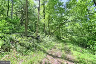 4909 Raccoon Valley Rd Rd, Millerstown, PA 17062 - Photo 57