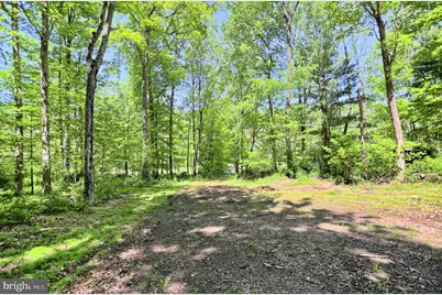 4909 Raccoon Valley Rd Road, Millerstown, PA 17062 - Photo 53