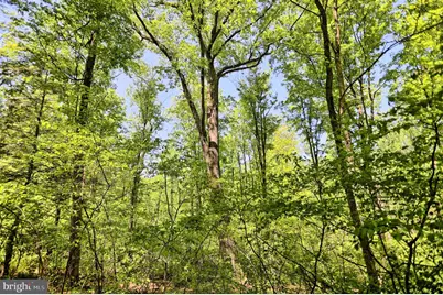 4909 Raccoon Valley Rd Road, Millerstown, PA 17062 - Photo 71