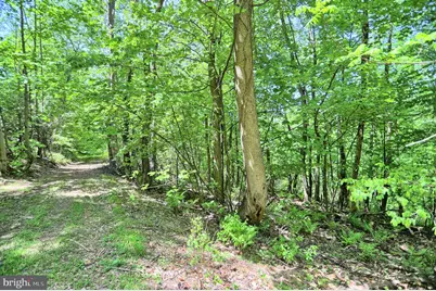 4909 Raccoon Valley Rd Road, Millerstown, PA 17062 - Photo 67
