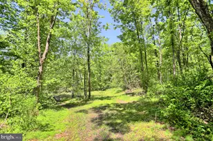 4909 Raccoon Valley Rd Rd, Millerstown, PA 17062 - Photo 75