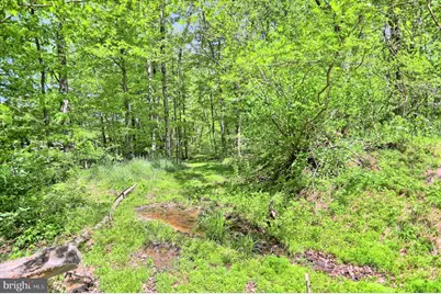 4909 Raccoon Valley Rd Road, Millerstown, PA 17062 - Photo 77