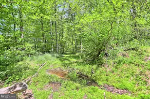 4909 Raccoon Valley Rd Rd, Millerstown, PA 17062 - Photo 77