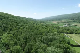 4909 Raccoon Valley Rd Rd, Millerstown, PA 17062 - Photo 85