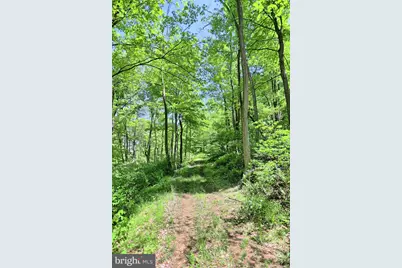 4909 Raccoon Valley Rd Road, Millerstown, PA 17062 - Photo 59