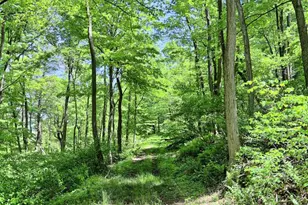 4909 Raccoon Valley Rd Rd, Millerstown, PA 17062 - Photo 59