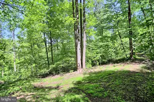 4909 Raccoon Valley Rd Rd, Millerstown, PA 17062 - Photo 63