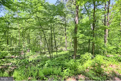 4909 Raccoon Valley Rd Road, Millerstown, PA 17062 - Photo 73