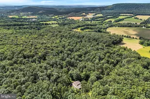 160 Millers Gap Rd, Marysville, PA 17053 - Photo 45