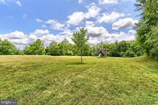102 Pin Tail Ave, Duncannon, PA 17020 - Photo 61