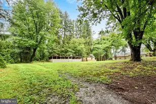 721 Turkey Bird Rd, Newport, PA 17074 - Photo 33