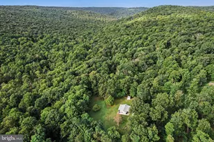 11 Maxwill Ln, Landisburg, PA 17040 - Photo 29