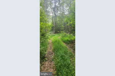 Lot 1 Juniata Furnace Lane, Newport, PA 17074 - Photo 3