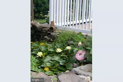 15 Donald Street, Shermans Dale, PA 17090 - Photo 75