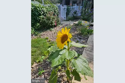 15 Donald Street, Shermans Dale, PA 17090 - Photo 77