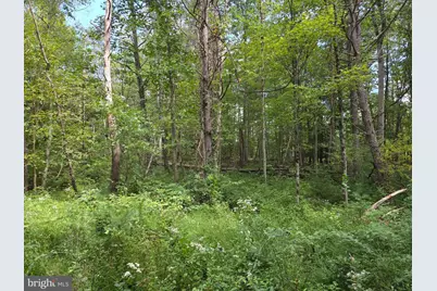 410 Buckwheat Valley Road, Millerstown, PA 17062 - Photo 53