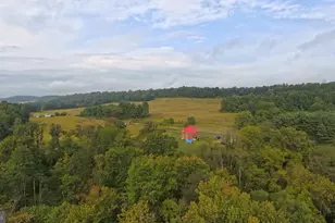 397 Pine Grove Rd, New Bloomfield, PA 17068 - Photo 5