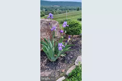 1819 Lower Bailey Road, Newport, PA 17074 - Photo 19