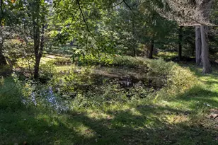 605 Pisgah Rd, Shermans Dale, PA 17090 - Photo 39