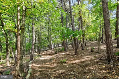 375 Clouser Hollow Road, New Bloomfield, PA 17068 - Photo 63