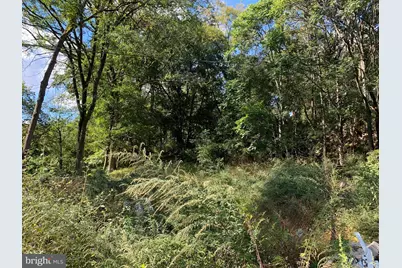 0 Lake Street, Schuylkill Haven, PA 17972 - Photo 1